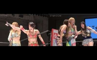 Weirdest Cage Match Build Ever