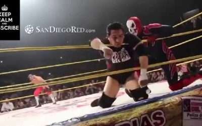 REY MYSTERIO KILLS MEXICAN WRESTLER EL HIJO DEL PERRO AGUAYO