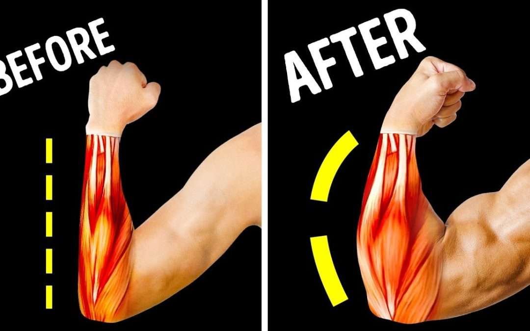 Only 14 Exercises You Need for Bigger Forearms