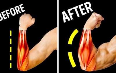 Only 14 Exercises You Need for Bigger Forearms
