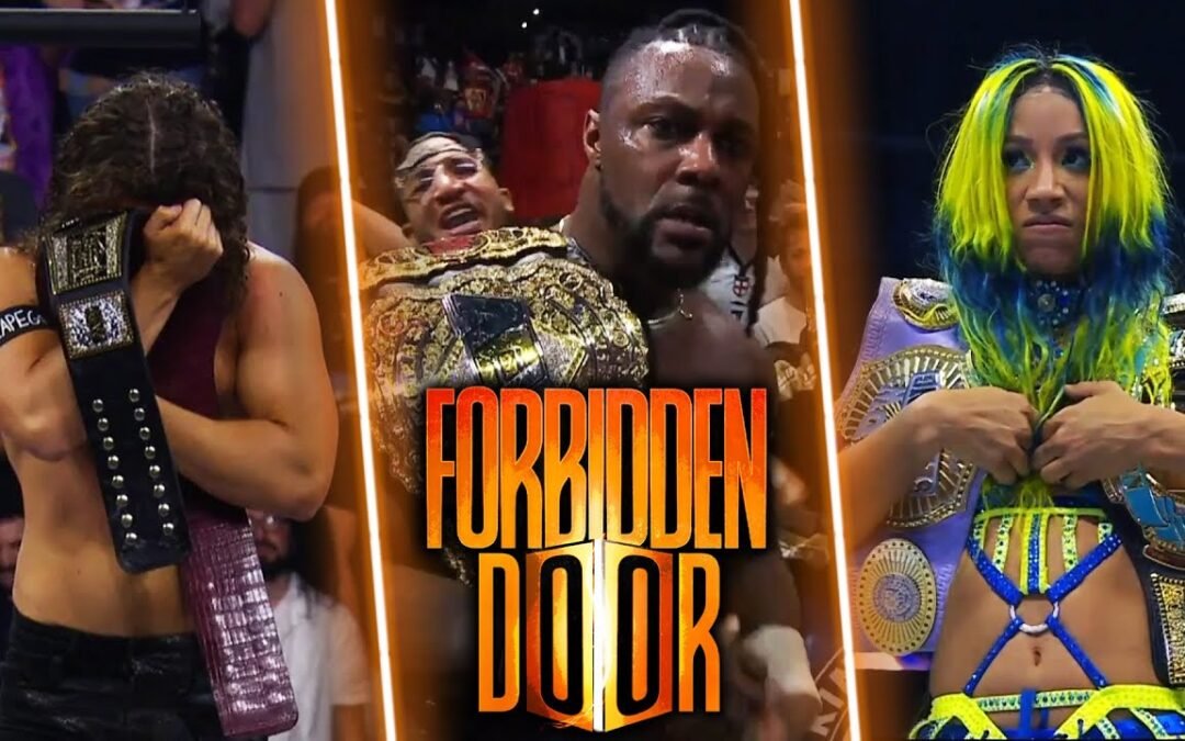 What Happened At AEW Forbidden Door 2024?!