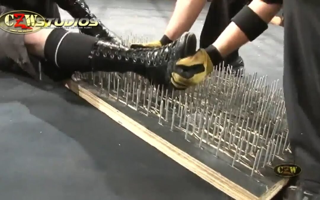 Matt Tremont vs. Danny Havoc | CZWstudios.com | Cage of Death 13