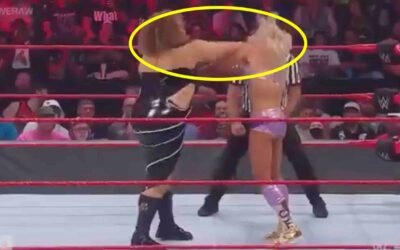 10 WWE & Other Wrestling Matches That Turned Into Real Fights
